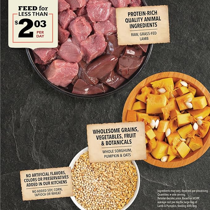 ACANA Wholesome Grains Dry Dog Food, Lamb & Pumpkin Recipe, 22.5lb