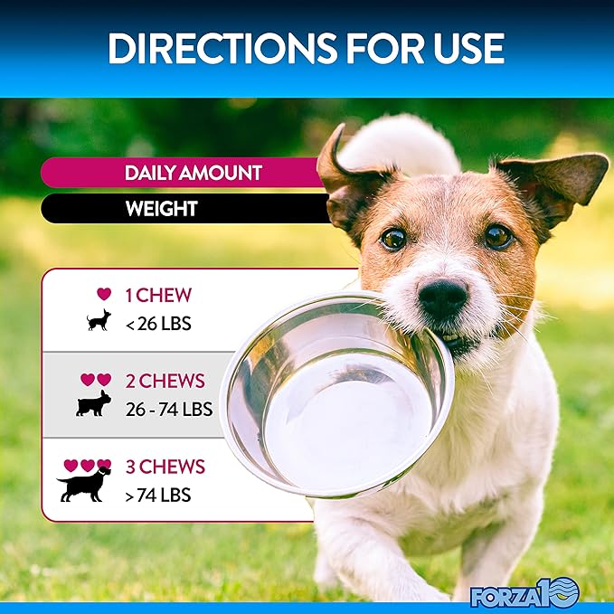 Forza10 Dog Probiotics and Digestive Enzymes Chews Supplements, Duck Flavor Probiotics for Dogs Digestive Health and Gut, Pet Probiotics for Dogs with Diarrhea, Dog Gas Relief, Upset Stomach, 90 Ct.