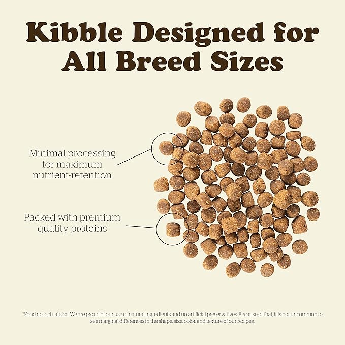 Now Fresh Grain Free Dog Food, 22 lb - Red Meat Dry Dog Food Recipe for Adult Dogs with Real Meat for Protein - for Small, Medium and Large Breeds