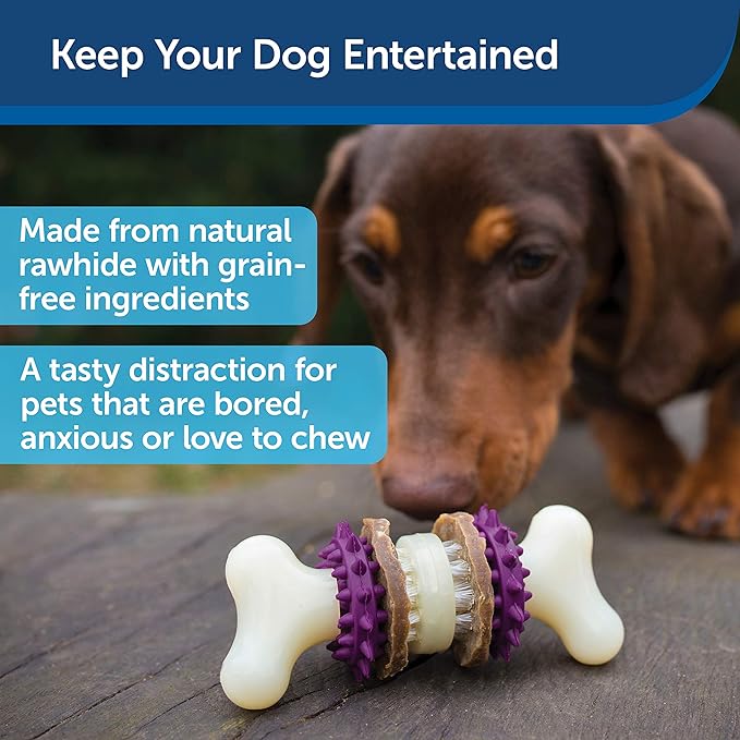 PetSafe Treat Rings - 16 Rings - Size B - Original & Busy Buddy Bristle Bone - Treat-Holding Toy for Dogs - Purple, Large