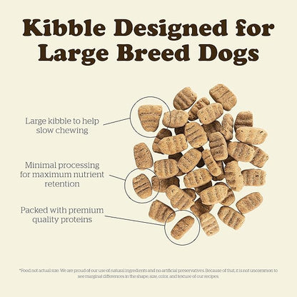 Now Fresh Grain Free Dog Food, 12 lb - Large Breed Adult Dog Food Recipe - Healthy Diet with Probiotics & Real Meat and Fish for Protein