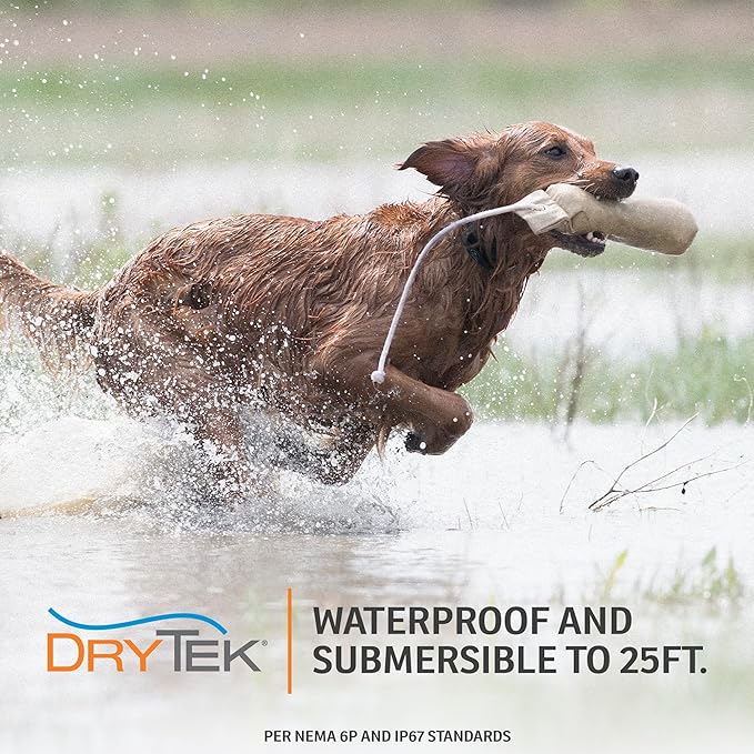 SportDOG Brand NoBark Rechargeable Bark Control Shock Collar - Programmable, Waterproof Bark Collar