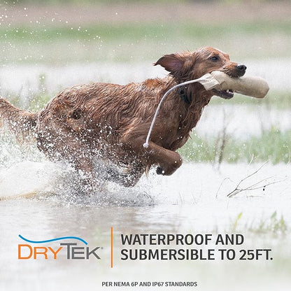 SportDOG Brand NoBark Rechargeable Bark Control Shock Collar - Programmable, Waterproof Bark Collar