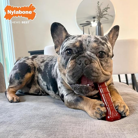 Nylabone Power Chew Classic Bone Chew Toy for Dogs, Durable Dog Toys for Aggressive Chewers, Basted Blast Bacon & Steak Flavor, Medium/Wolf (1 Count)