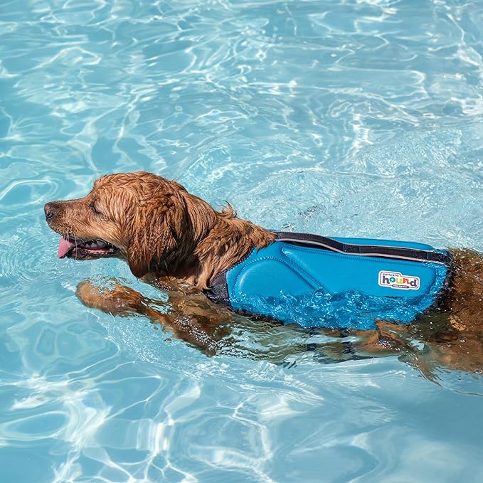Outward Hound Dawson Swim Blue Dog Life Jacket, XL
