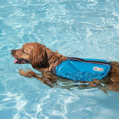 Outward Hound Dawson Swim Blue Dog Life Jacket, XL