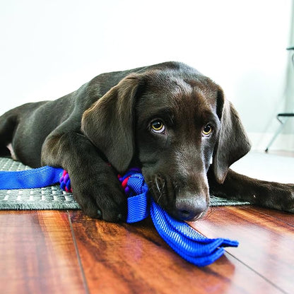 KONG - Wubbaª Tugga - Durable Cotton Rope Tug of War Dog Toy - For X-Large Dogs (Assorted Colors)