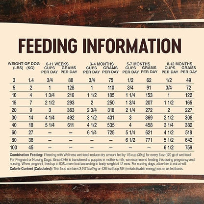 Wellness CORE RawRev Dry Puppy Food with Wholesome Grains, Natural Ingredients, Made in USA with Real Freeze-Dried Meat (Puppy, Turkey, 4 Lbs)