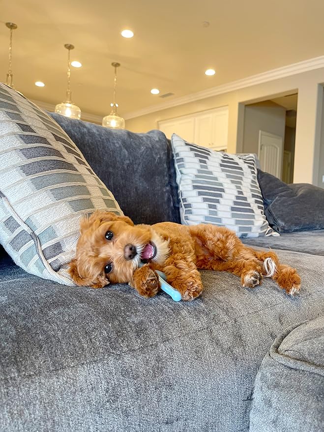 Nylabone Puppy Wishbone Chew Toy - Puppy Chew Toy for Teething - Puppy Supplies - Blue, Chicken Flavor, X-Small/Petite (1 Count)