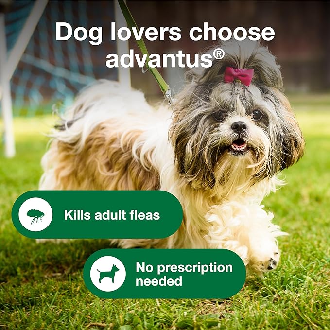 Dog Advantus Chewable Flea Treatment for Dogs 4 - 22 lbs. | 30 ct.