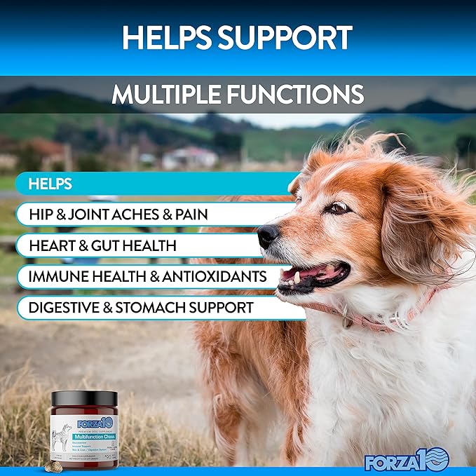 Forza10 Dog Vitamins Supplements, Dog Multivitamin Chews, Pet Vitamins for Dogs, Peanut Butter Flavor Dog Supplement, Multivitamin for Dogs, Senior Dog & Puppy Vitamins, Small to Large Breeds, 90 Ct.
