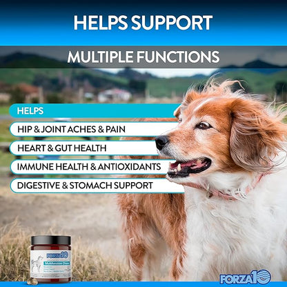 Forza10 Dog Vitamins Supplements, Dog Multivitamin Chews, Pet Vitamins for Dogs, Peanut Butter Flavor Dog Supplement, Multivitamin for Dogs, Senior Dog & Puppy Vitamins, Small to Large Breeds, 90 Ct.