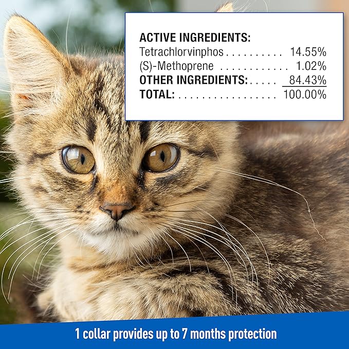 Adams Plus Flea & Tick Collar for Cats | Breakaway Collar | 1 White Collar | 7- Month Protection | Kills & Repels Fleas, Flea Eggs, Flea Larvae and Kills Ticks, Tick Nymphs, and Tick Larvae