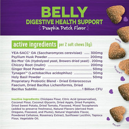 Wellness Pumpkin Patch Flavored Soft Chew Digestive Health Supplements for Dogs, 45 count