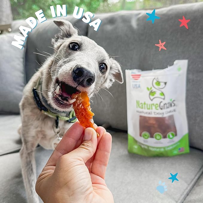 Nature Gnaws Chicken Jerky for Dogs – Made in The USA – Premium Natural Grain Free Dog Chew Treats – 2lb