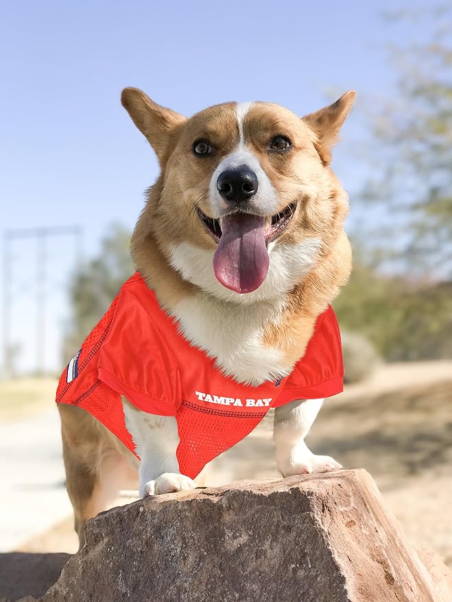 NFL Tampa Bay Buccaneers Dog Jersey, Size: Small. Best Football Jersey Costume for Dogs & Cats. Licensed Jersey Shirt