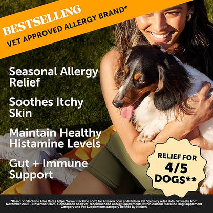 Pet Honesty Dog Allergy Relief Immunity - Dog Allergy Chews, Probiotics for Dogs, Seasonal Allergies, Dog Skin and Coat Supplement, Itch Relief for Dogs, Allergy Support Supplement (Salmon, 180 count)