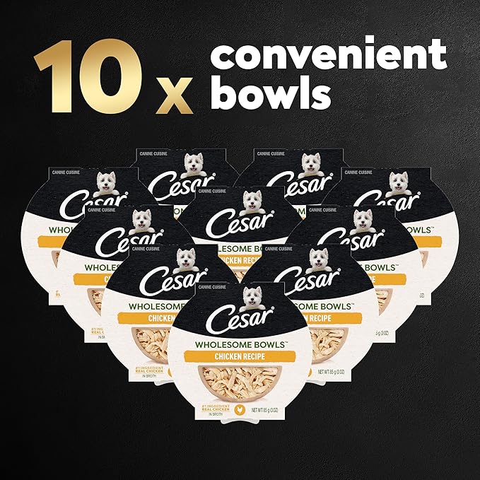 CESAR WHOLESOME BOWLS Adult Soft Wet Dog Food, Chicken Recipe, 3oz., Pack of 10