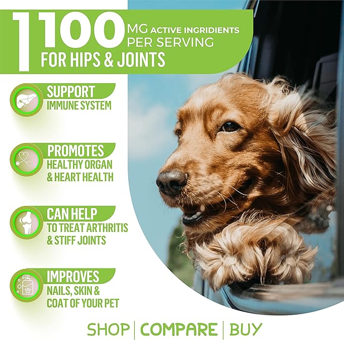 Advanced Hemp Hip and Joint Supplement for Dogs - Hemp Oil Glucosamine Chondroitin for Dog - Omegas - Turmeric - MSM - Green Lipped Mussel, Made in USA treats support mobility - 120 Chews