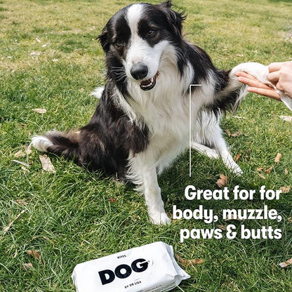 DOG by Dr. Lisa - Dog Wipes - Plant-Based, Natural Bathing Wipes for Dogs - Made from 100% Compostable Bamboo - Vet-Created - Vegan, Non-Toxic - 80 Count