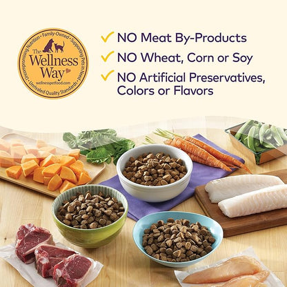 Wellness Complete Health Grain-Free Dry Dog Food, Natural Ingredients, Made in USA with Real Meat, For All Lifestages (Chicken, 24-Pound Bag)