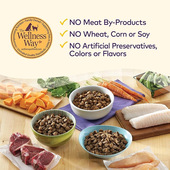 Wellness Complete Health Grain-Free Dry Dog Food, Natural Ingredients, Made in USA with Real Meat, For All Lifestages (Chicken, 4-Pound Bag)