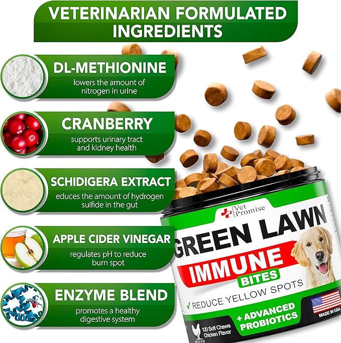 Grass Burn Spot Chews for Dogs - Dog Urine Neutralizer for Lawn - 120 Grass Green Dog Chews - Grass Savers for Dog Urine - Dog Pee Grass Neutralizer with Probiotics - Digestive Enzymes - Made in USA