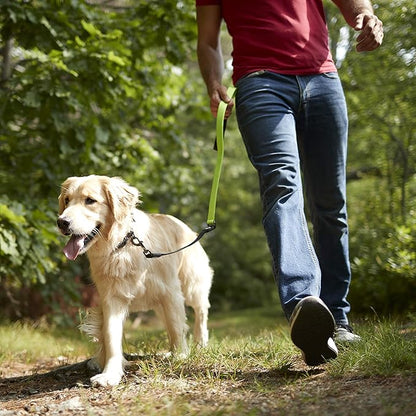 Nylon Dog Leash with Shok-Tek Bungee – Reflective – Franklin Pet Supply Co – Comfort – Neoprene Handles – Shok-Tek Bungee System – 4 Foot – Dog Training – Walking - Red
