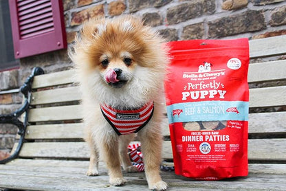 Stella & Chewy's Freeze Dried Raw Dinner Patties – Crafted for Puppies – Grain Free, Protein Rich Perfectly Puppy Beef & Salmon Recipe – 14 oz Bag