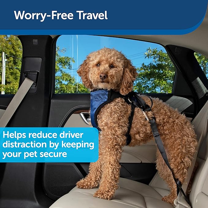 PetSafe Happy Ride Seat Belt Tether for Dogs, Adjustable Strap Keeps Pets Secure in Car