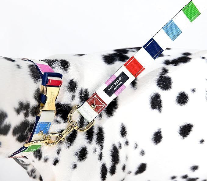 Kate Spade New York Heavy Duty Leash for Female or Male Dogs, Cute Pet Leash with Gold Metal Hardware, Long Dog Lead for Small Medium Large Breeds (Large, Adventure Stripe)