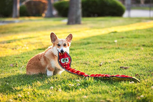 Outward Hound Tough Seamz Snake Plush Dog Toy, XL