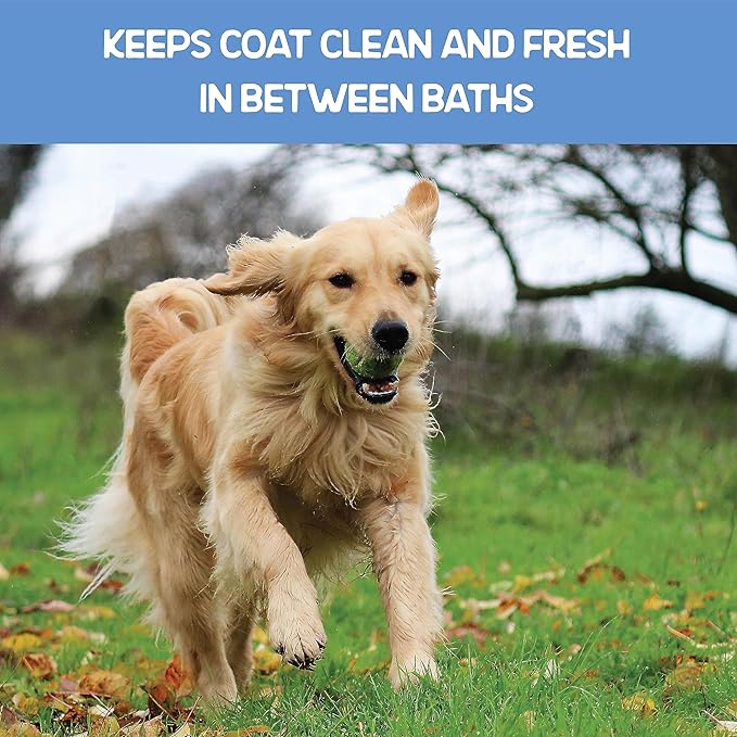 WETPET Wipes for Dogs, Lemon Scented, Grooming Wipes Remove Dirt & Grime, Deodorizing Easy to Use for Dogs & Puppies, Safe on Skin and Fur Single Pack