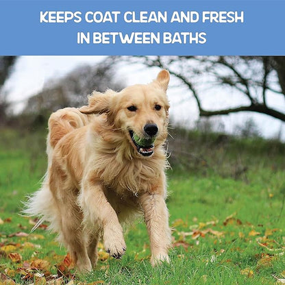 WETPET Wipes for Dogs, Lemon Scented, Grooming Wipes Remove Dirt & Grime, Deodorizing Easy to Use for Dogs & Puppies, Safe on Skin and Fur Single Pack