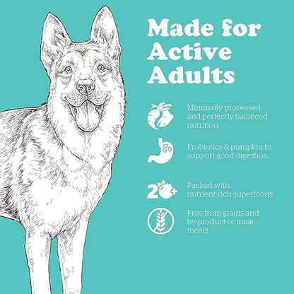 Now Fresh Grain Free Dog Food, 12 lb - Large Breed Adult Dog Food Recipe - Healthy Diet with Probiotics & Real Meat and Fish for Protein