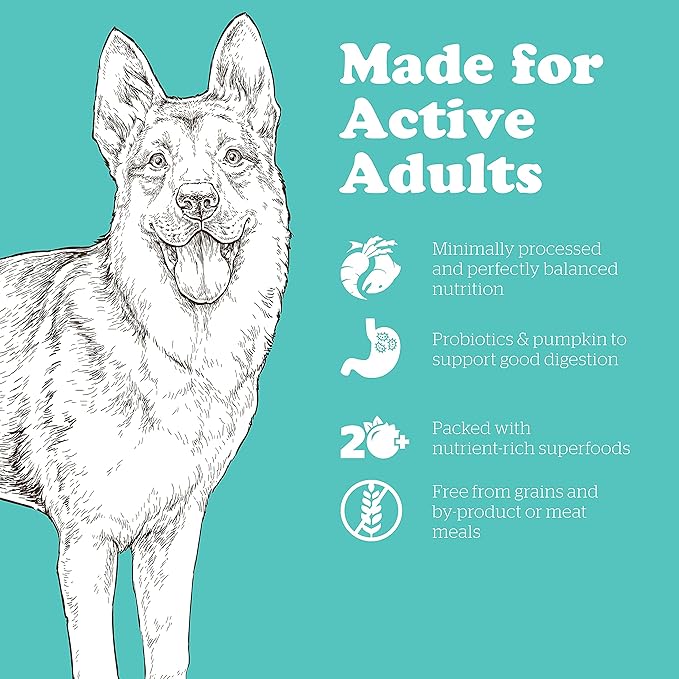 Now Fresh Grain Free Dog Food, 25 lb - Large Breed Adult Dog Food Recipe - Healthy Diet with Probiotics & Real Meat and Fish for Protein