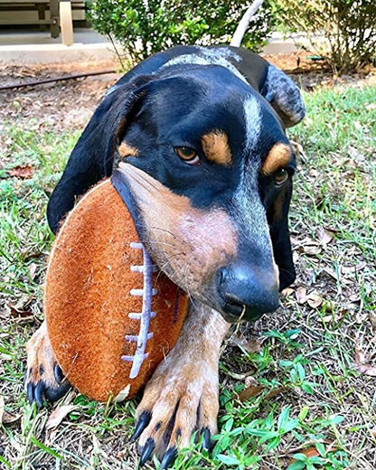 Nylabone Power Play Felt Football Gripz Fetch Toy, Squeaky Ball Chew Toy for Dogs, Large (1 Count)