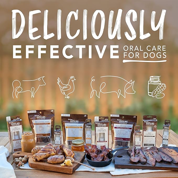 TropiClean Enticers Teeth Cleaning Gel & Toothbrush for Large Dogs | Hickory Smoked Bacon Flavor | Bamboo Brush Speeds Up Plaque Removal | Gel Helps Fight Bad Breath | 2 oz