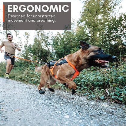 Non-stop dogwear Freemotion harness 5.0 Dog Pulling Harness for Sports like Running, Biking and Skiing with Dogs, Professional Adjustable Dog Harness, Orange/Black, Size 6