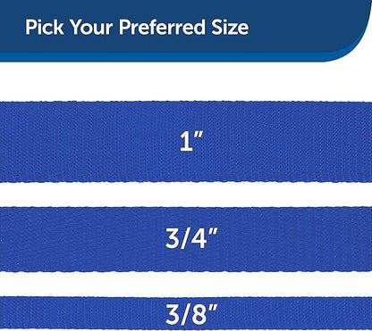 PetSafe Nylon Dog Leash - Strong, Durable, Traditional Style Leash with Easy to Use Bolt Snap - 1 in. x 4 ft., Royal Blue