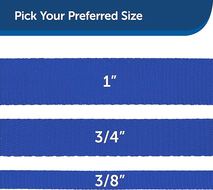 PetSafe Nylon Dog Leash - Strong, Durable, Traditional Style Leash with Easy to Use Bolt Snap - 3/4 in. x 6 ft., Royal Blue