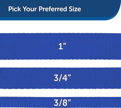 PetSafe Nylon Dog Leash - Strong, Durable, Traditional Style Leash with Easy to Use Bolt Snap - 3/4 in. x 6 ft., Royal Blue