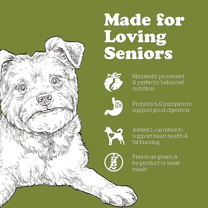 Now Fresh Grain Free Small Breed Dog Food, 3.5 lb - Dry Dog Food Senior Recipe - Healthy Diet with Probiotics & Real Meat & Fish for Protein