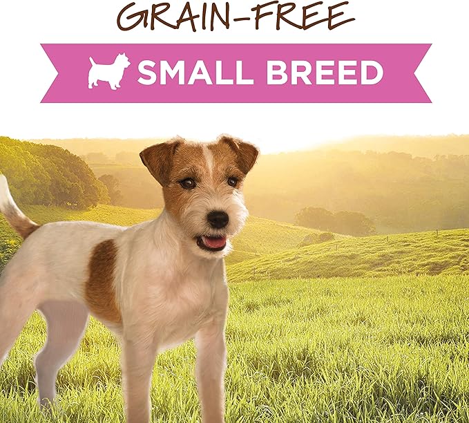 Instinct Original Small Breed Grain Free Real Beef Recipe Natural Wet Canned Dog Food, 3 oz. Cans (Case of 24)