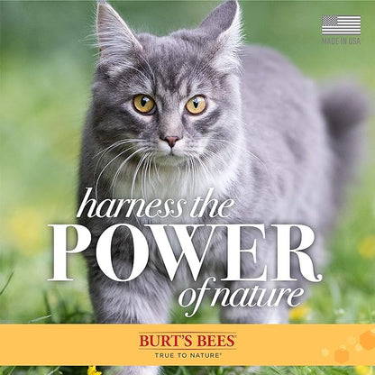 Burt's Bees for Pets Cat Naturally Derived Dander Reducing Wipes - Kitten and Cat Wipes for Grooming - Cruelty Free, Formulated without Sulfates and Parabens, Made in the USA, 50 Count - 3 Pack