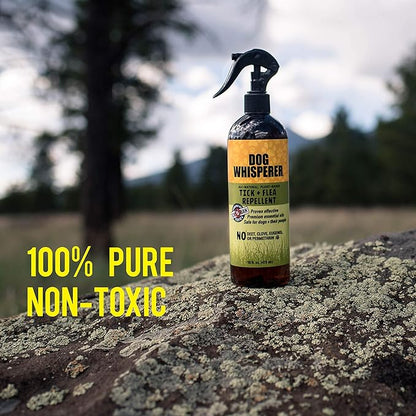 Dog Whisperer Tick + Flea Repellent, All-Natural, Extra Strength, Effective on Dogs and Their People 16 oz and 4 oz (2-Pack)