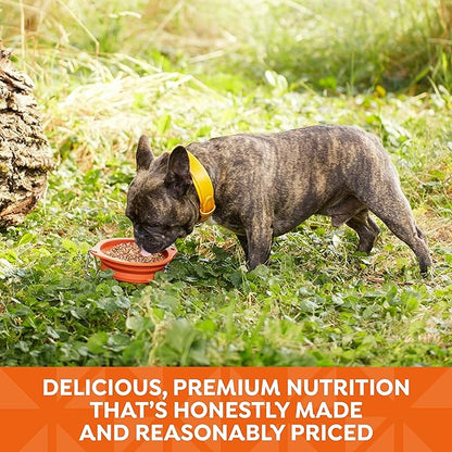 Nature’s Recipe Stew Chicken, Rice & Barley Recipe Wet Dog Food, 13.2 oz. Can, 12 Count