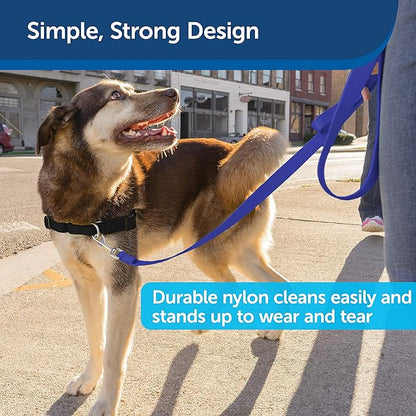 PetSafe Nylon Dog Leash - Strong, Durable, Traditional Style Leash with Easy to Use Bolt Snap - 3/4 in. x 6 ft., Royal Blue