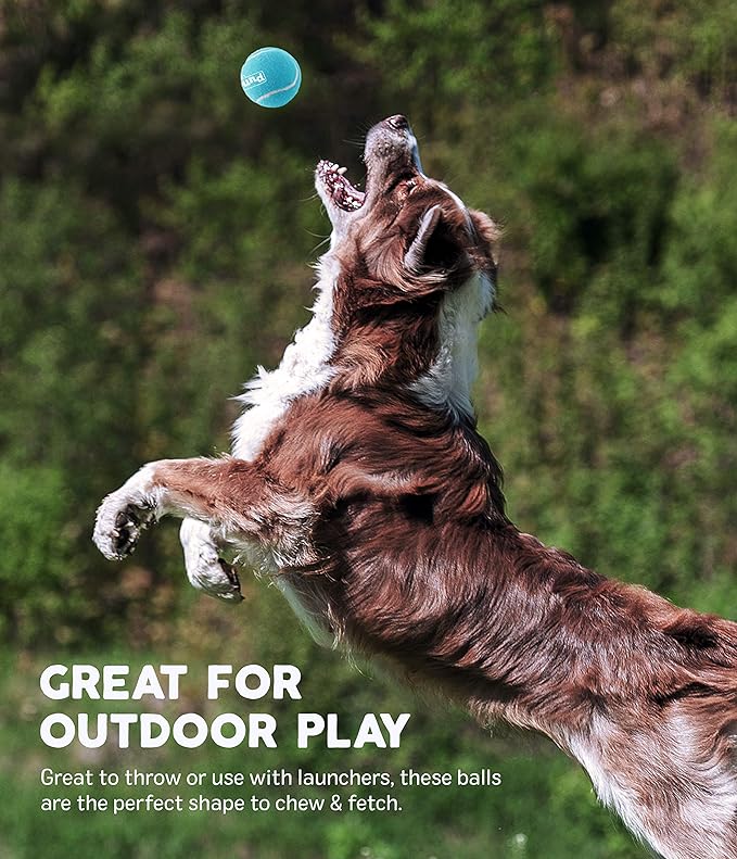 Outward Hound Squeaker Ballz Fetch Dog Toy, Large - 2 Pack