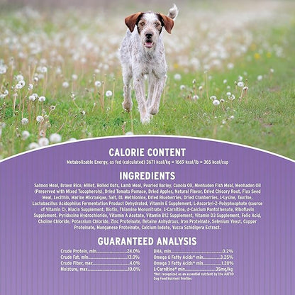 Annamaet Original Option Formula Dry Dog Food, 24% Protein (Salmon & Brown Rice), 40-lb Bag